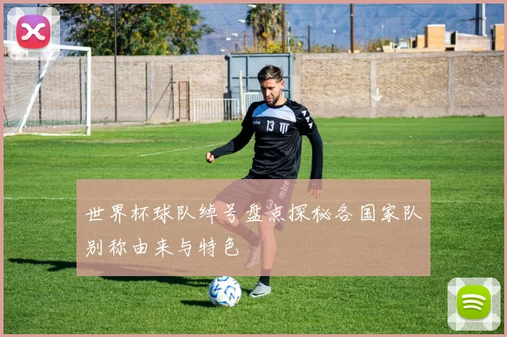 世界杯球队绰号盘点探秘各国家队别称由来与特色