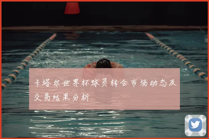 卡塔尔世界杯球员转会市场动态及交易结果分析