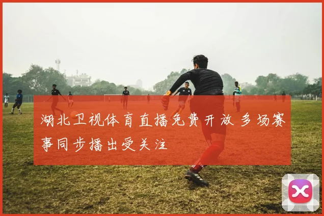 湖北卫视体育直播免费开放 多场赛事同步播出受关注