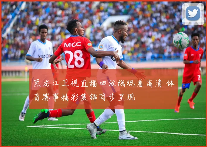 黑龙江卫视直播回放线观看高清 体育赛事精彩集锦同步呈现