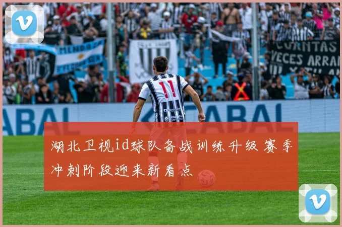 湖北卫视id球队备战训练升级 赛季冲刺阶段迎来新看点